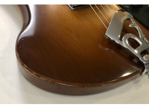 Rickenbacker 480 (97108)