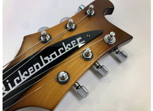 Rickenbacker 480 (69717)