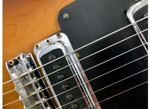 Rickenbacker 480 (45091)