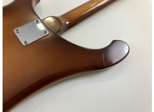 Rickenbacker 480 (74766)