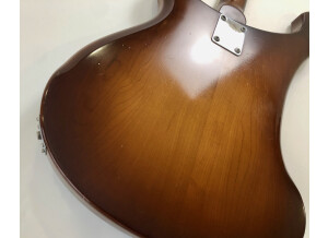 Rickenbacker 480 (79647)