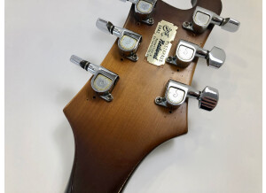 Rickenbacker 480 (19411)