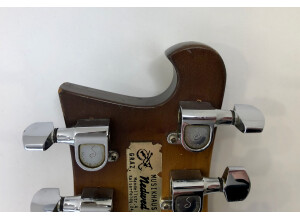 Rickenbacker 480 (23378)