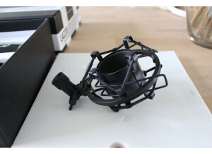 Lauten Audio LA-220 (61476)