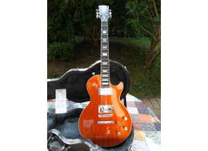 Gibson Les Paul GT (61028)