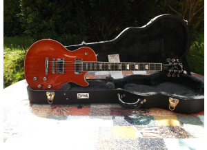 Gibson Les Paul GT (85345)