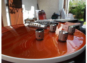 Gibson Les Paul GT (33436)