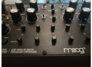 Moog Music DFAM (Drummer From Another Mother) (96123)