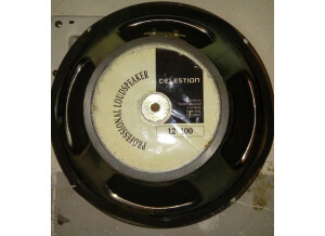 Celestion G12-100 (21423)