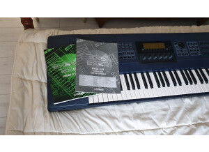 Roland D-110 (14119)