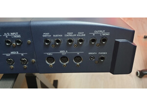 Roland D-110 (52106)