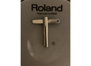 Roland HD-1