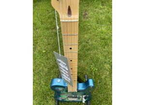 Fender Blue Flower Telecaster (30751)