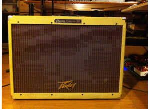 Peavey Classic 50/212 (Discontinued) (22536)
