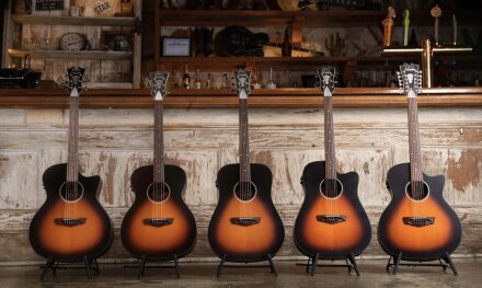 premierlsacoustics premierlsacoustics