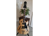 Guitare Epiphone-Gibson ES 175 Premium
