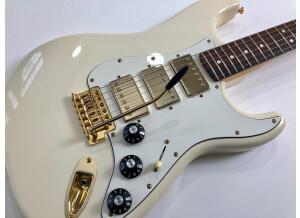 Fender Blacktop Stratocaster HHH Limited (81613)