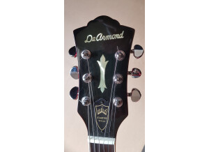 DeArmond Starfire Special (49603)