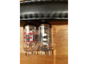 Kelt Amplification V-Twin (22226)