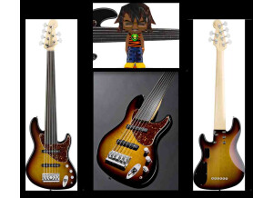 Fender [Artist Series] Steve Bailey Fretless Jazz Bass VI - 3-Color Sunburst Ebony