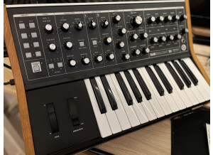 Moog Music Subsequent 25 (31529)