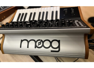 Moog Music Subsequent 25 (74342)