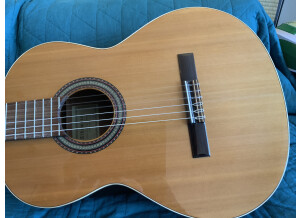Alhambra Guitars 1C (89592)