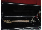 Fender Stratocaster (2019)