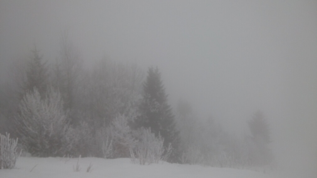 4229948.jpg 4229948.jpg