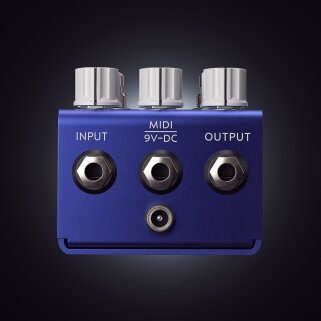 theoptimistrear theoptimistrear