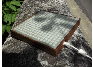 Monome Hardware 256 (15493)