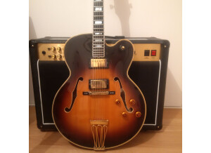 Gibson Byrdland (98425)