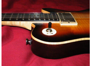 Framus Panthera Custom (35819)
