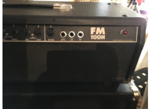 Fender FM 100 Head (26261)