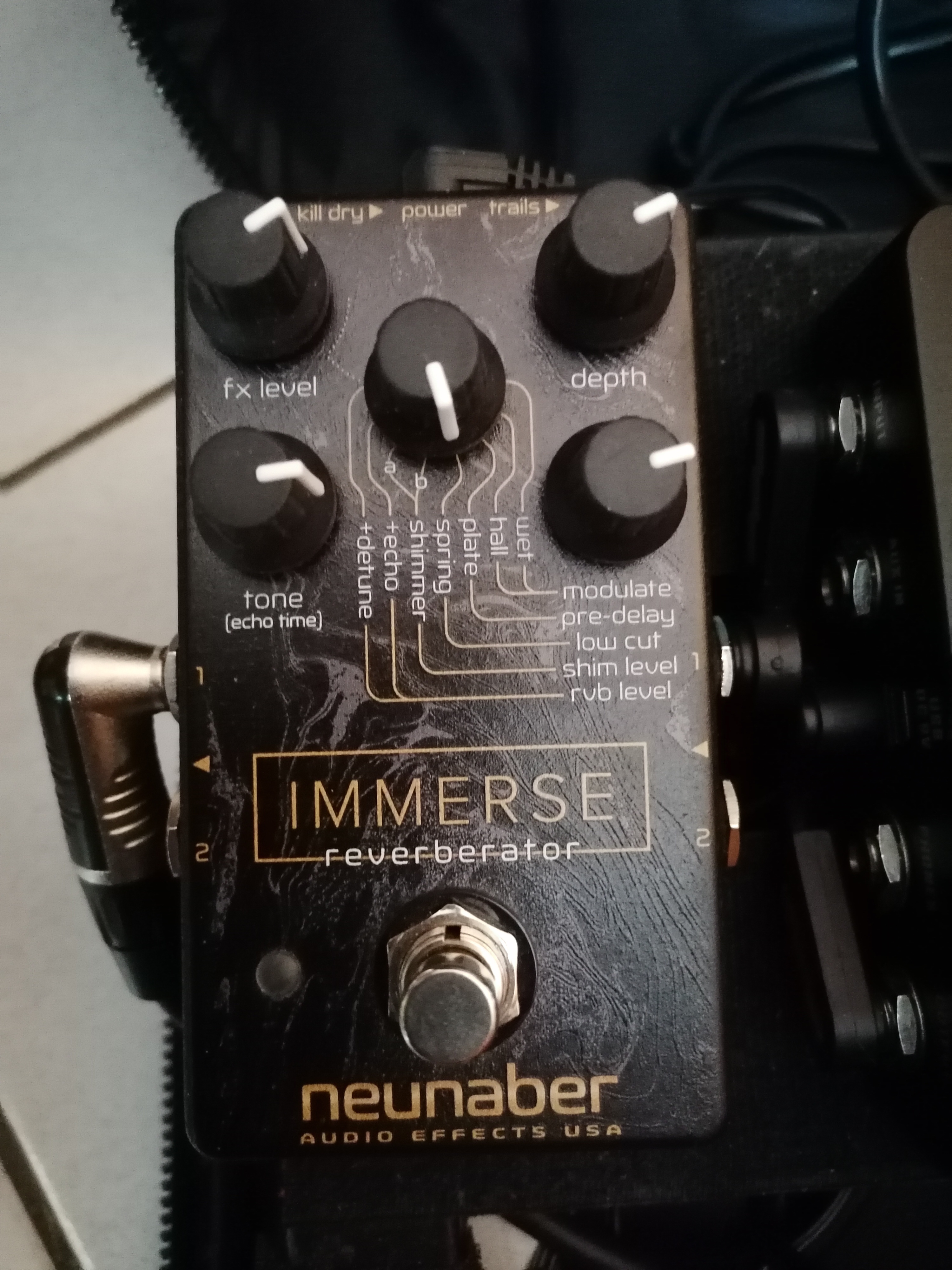 Neunaber Technology Immerse Reverberator
