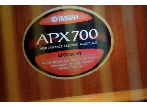 Yamaha APX 700 NT