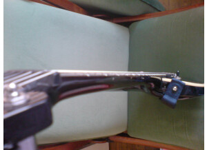Parker Guitars PM 20