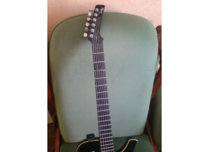 Parker Guitars PM 20