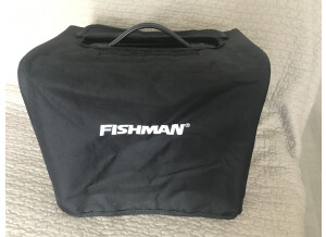 Fishman Loudbox Mini (5623)