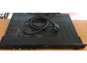 Roland SDE-1000 (50981)