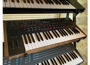 Dave Smith Instruments Pro 2 (35543)