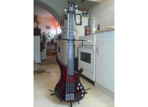 Vigier Passion (66710)