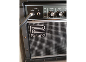Roland Jazz Chorus JC-22 (85932)