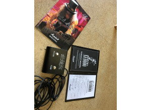 Marshall AFD100 Signature Slash (59674)