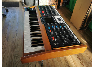 Moog Music Minimoog Voyager Performer Edition (97939)