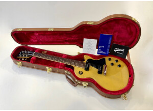 Gibson Original Les Paul Special (31005)