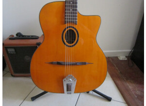 Nash Acoustic Guitar NH-60 (66250)