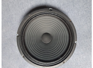 Celestion Ten 30 (2)