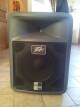 Peavey PR 12