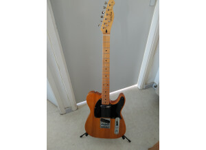 Harley Benton TE-52 (21294)